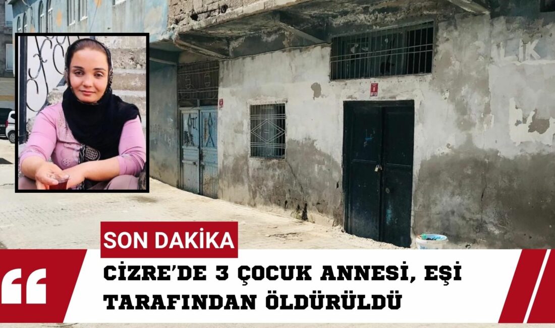 Şırnak’ın Cizre ilçesinde 3