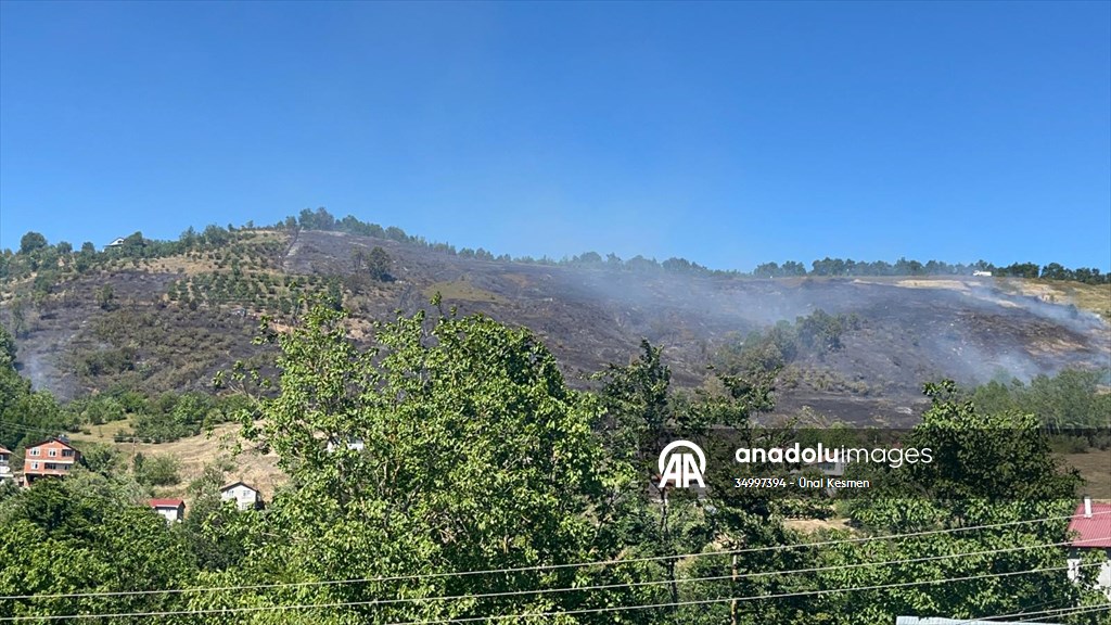 Kastamonu’da ormanlık alanda çıkan yangına müdahale ediliyor