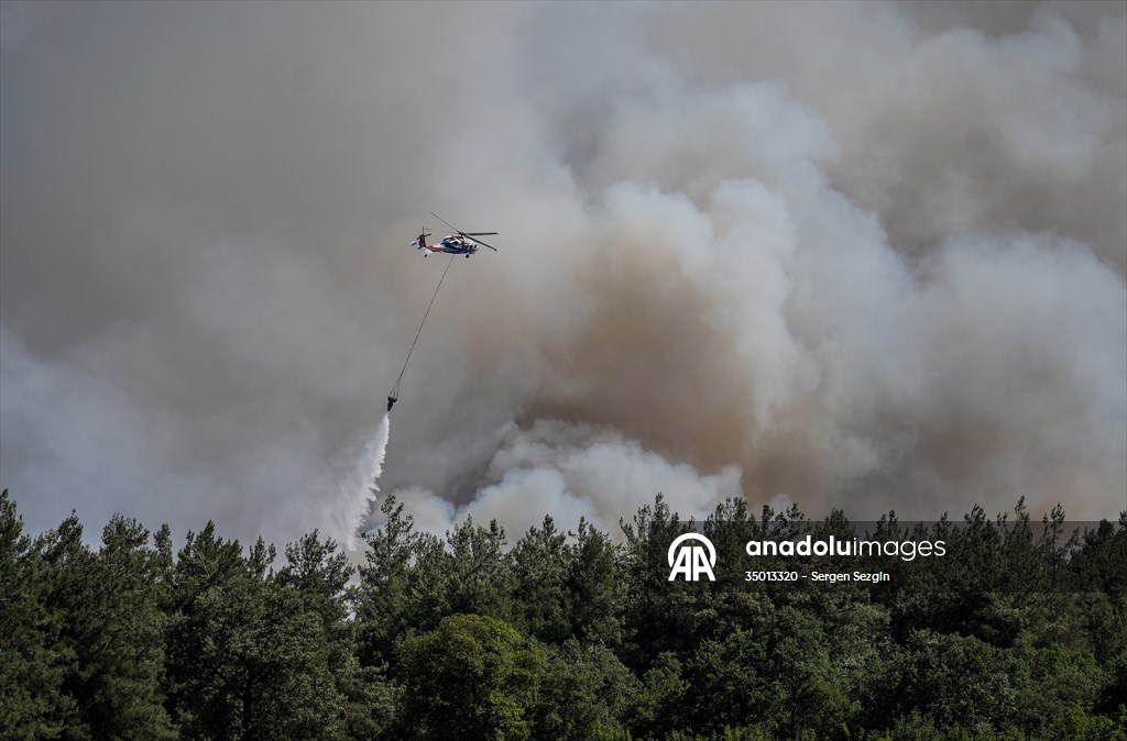 Bursa’da Makilik Alanda Çıkan Yangına Müdahale Ediliyor