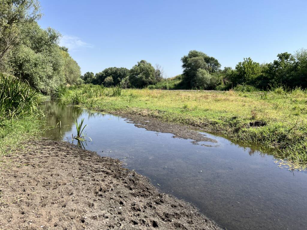 Tunca Nehri’nde Su Azlığı Çeltik Üreticilerini Zorluyor