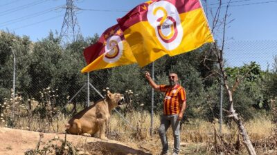 Diyarbakırlı taraftar, Galatasaray’ın 24. şampiyonluğunu aslanlarıyla kutladı (Videolu)