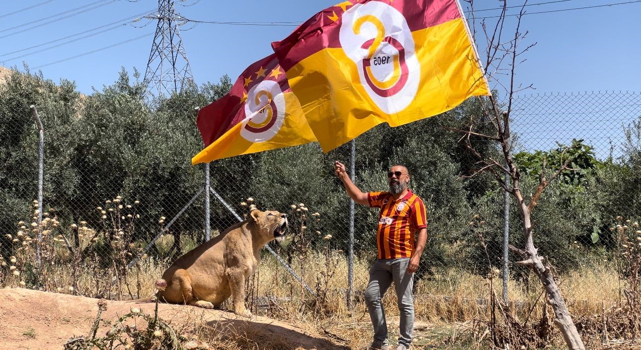 Diyarbakırlı taraftar, Galatasaray’ın 24. şampiyonluğunu aslanlarıyla kutladı (Videolu)