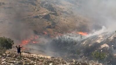 Mardin’de ormanlık alanda çıkan yangın devam ediyor