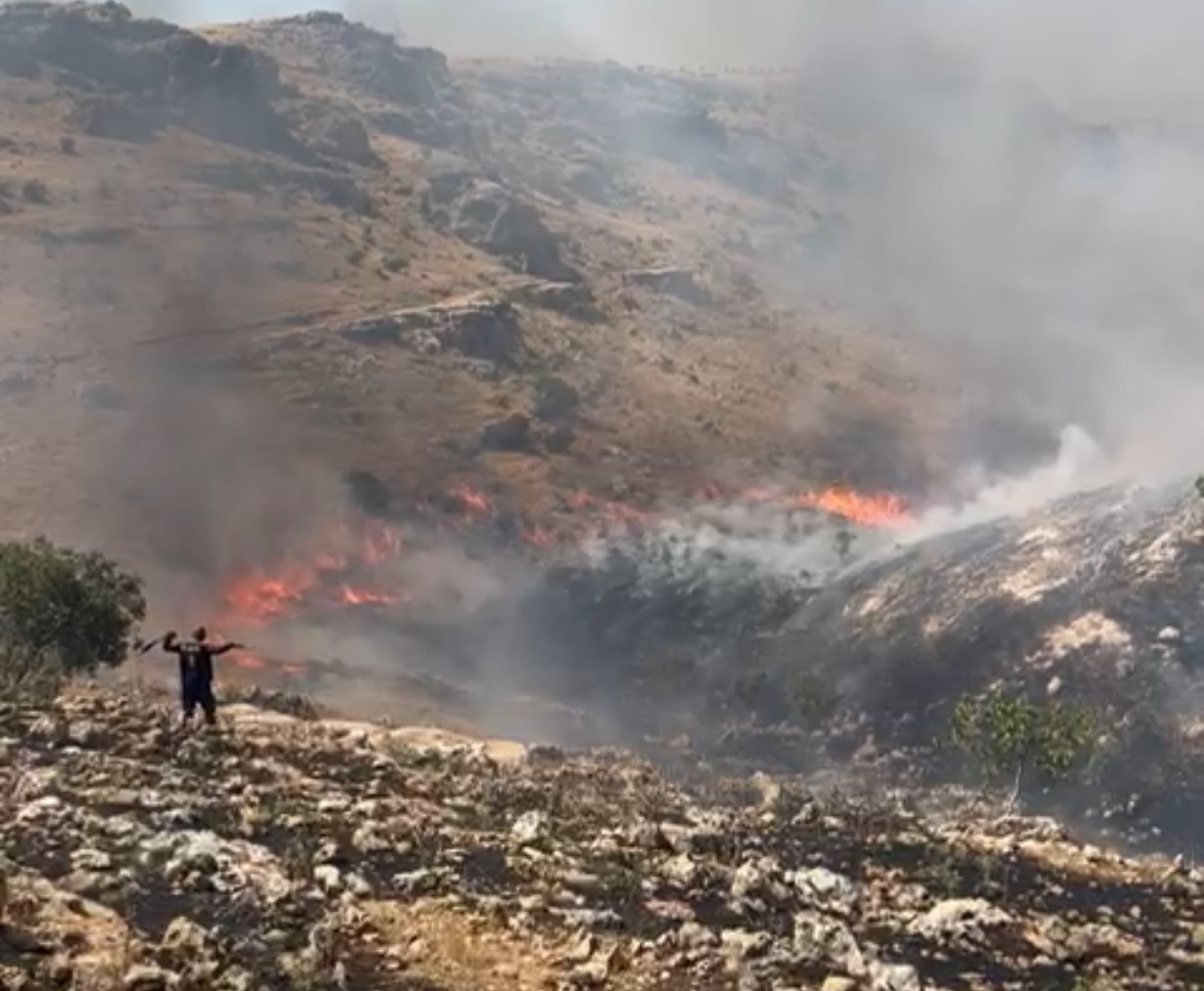Mardin’de ormanlık alanda çıkan yangın devam ediyor