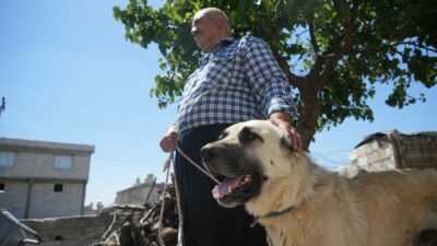 Şahinbey Belediyesi köpeklere sahip çıkıyor