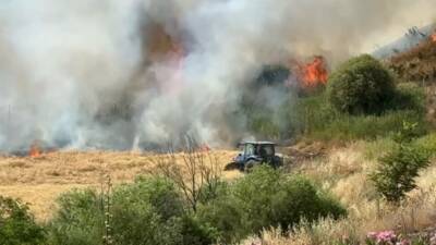 Diyarbakır’da 300 dönüm ekili buğday yandı