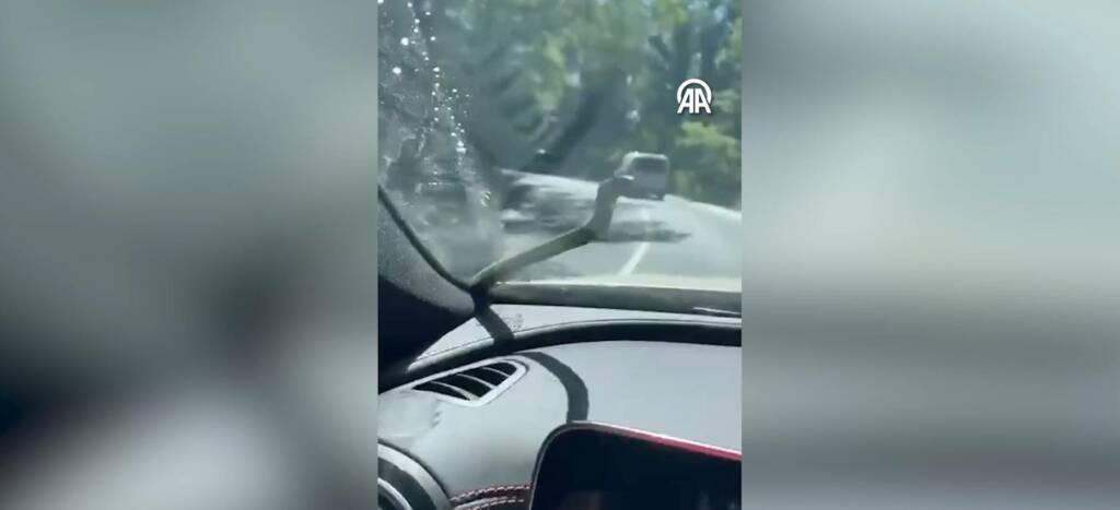 Aracının ön camına yılan düşen sürücünün şaşkınlığı kamerada
