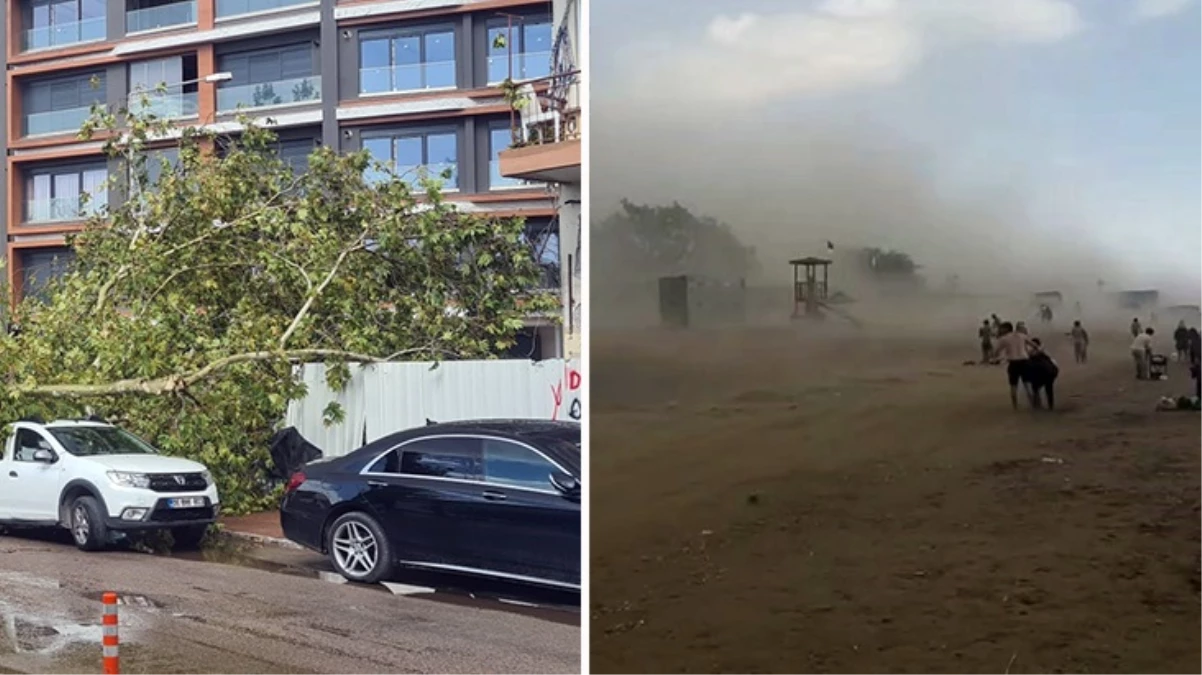 Antalya’da Felaket! Hava Sıcaklığı Aniden Düştü, Kum Fırtınası ve Ağaç Devrilmesi Yaşandı