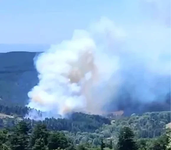 Uludağ’ın Güney Yamaçları Alev Alev! Bursa Keles’te Orman Yangını