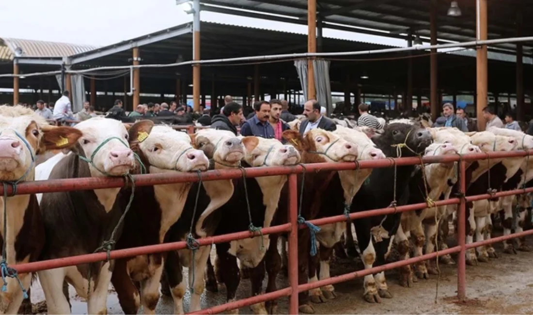 Sivas'ta beş gün içinde