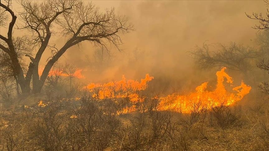 Faslı Uzmandan Uyarı! Yüksek Sıcaklık ve Devam Eden Kuraklık Nedeniyle Fas’ta Orman Yangını Riski Bulunuyor