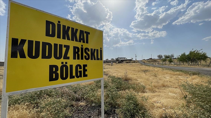 Şanlıurfa’da Kuduz! Bir Mahalle Karantinaya Alındı