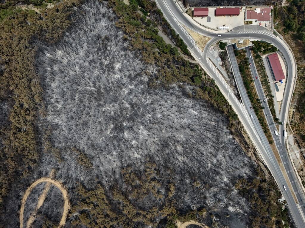 İzmir Bornova’daki yangının tahribatı havadan görüntülendi