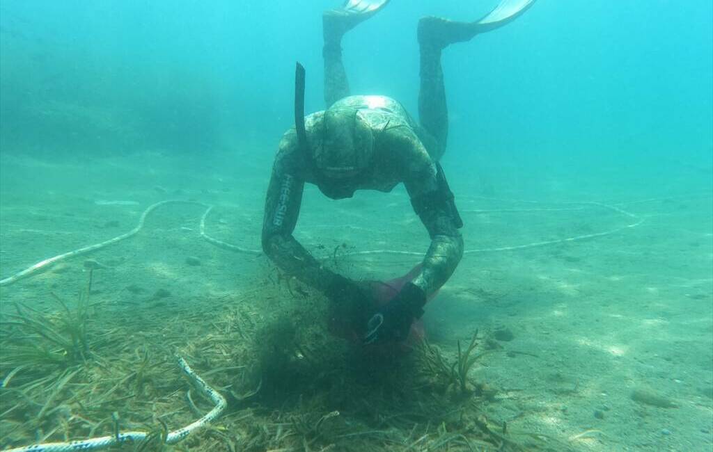 Muğla'nın Bodrum ilçesinde, dalgıçlar