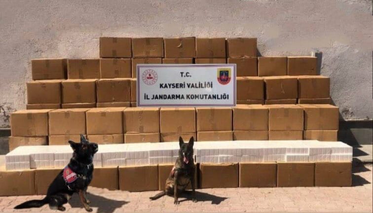 61 Bin 500 Paket Kaçak Sigara Ele Geçirildi