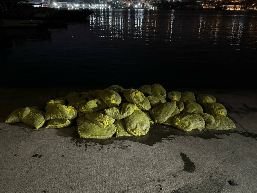 İstanbul’da 1,5 ton kaçak midye ele geçirildi