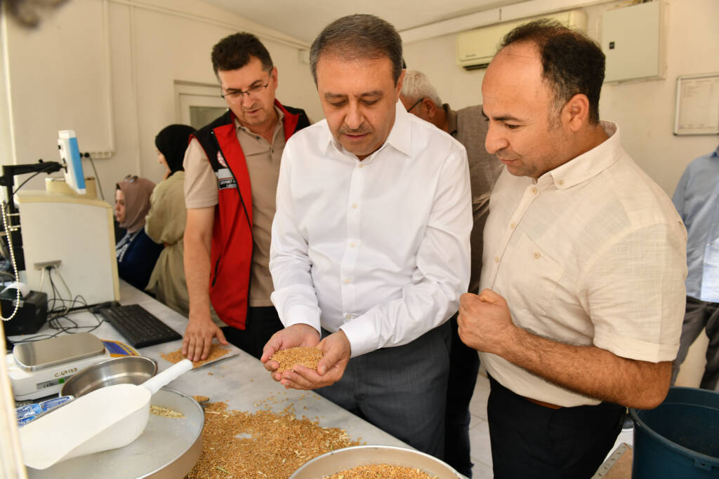 Buğday üretiminde rekor: 2,2 milyon tona ulaştı