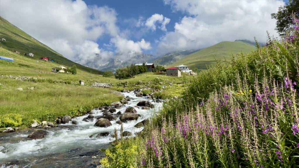 Kaçkar Dağları'nın 2 bin