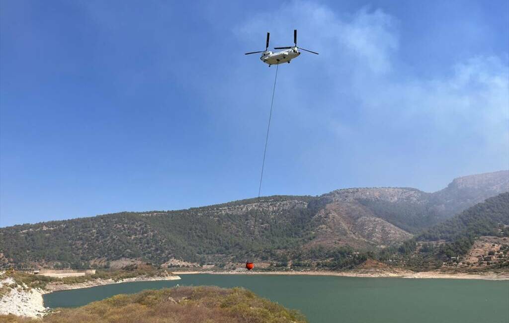 Muğla'nın Milas ilçesinde çıkan