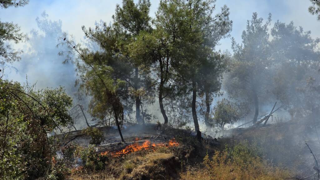 Hatay’da korkutan orman yangını