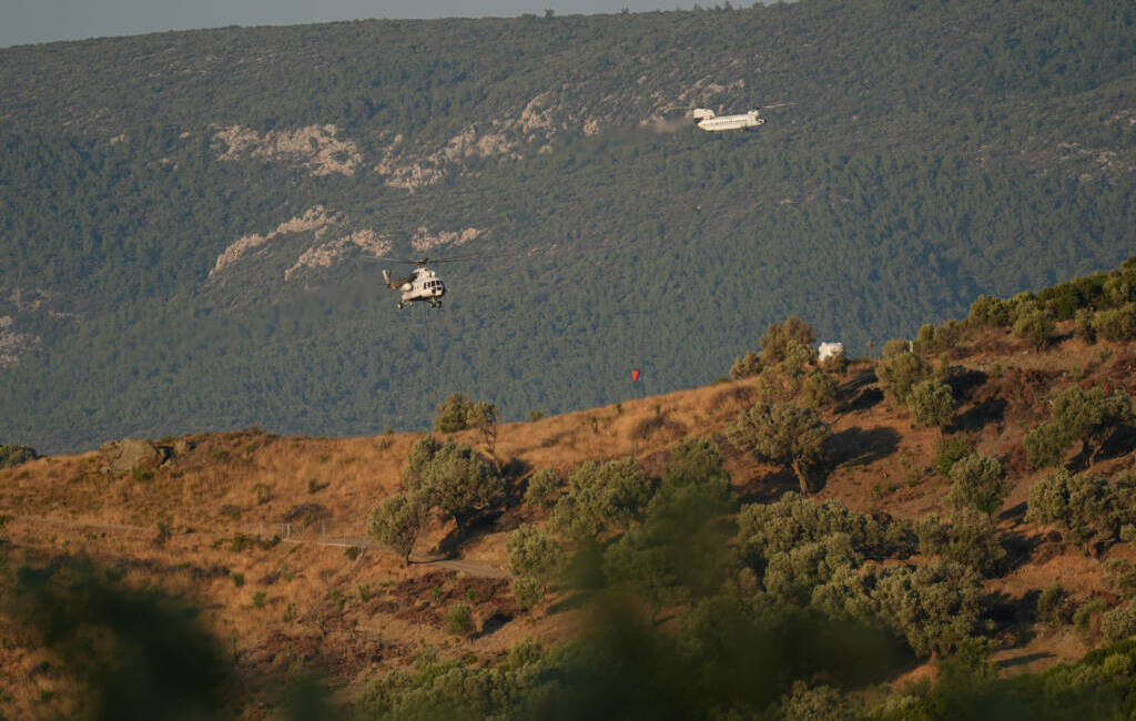 İzmir'in Urla ilçesinde çıkan