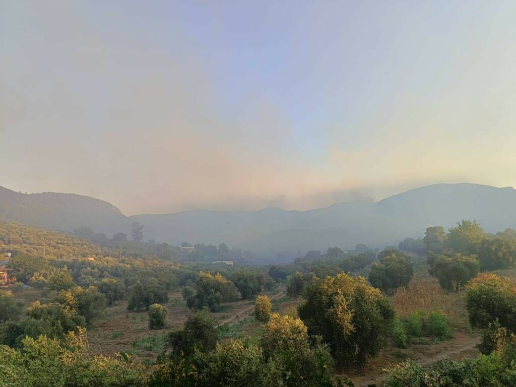 Adana’da orman yangını: Müdahale ediliyor!