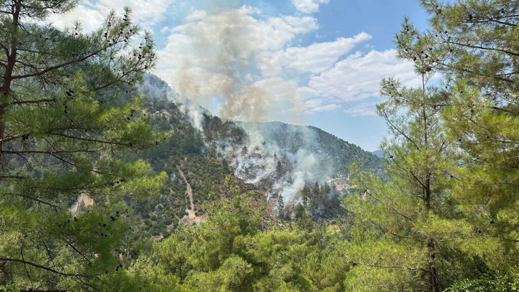 Adana’nın Feke ilçesinde çıkan