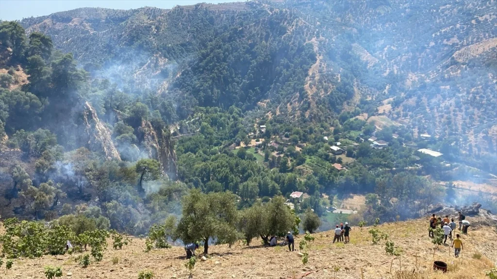 Aydın'ın Efeler ilçesinde çıkan