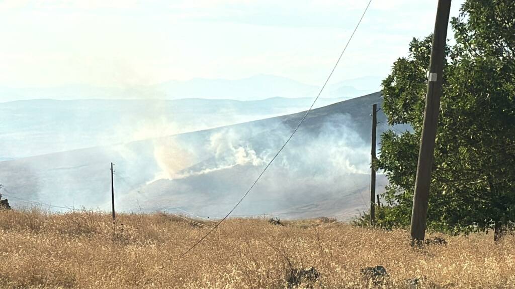 Elazığ'ın Karakoçan ilçesinde otluk