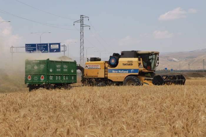 Erzincan’ın önemli tahıl üretim