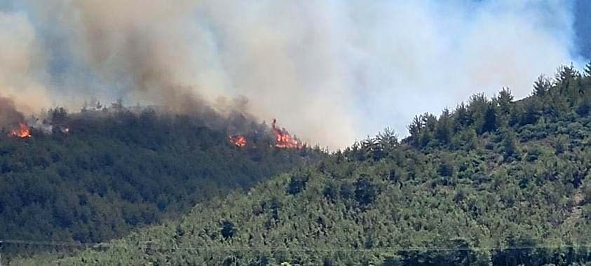 Hatay'ın Arsuz ilçesinde çıkan