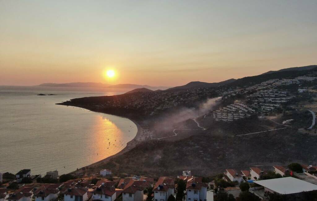 İzmir’in Dikili ilçesinde çıkan