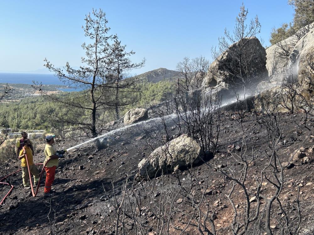 İzmir’de peş peşe orman yangınları 