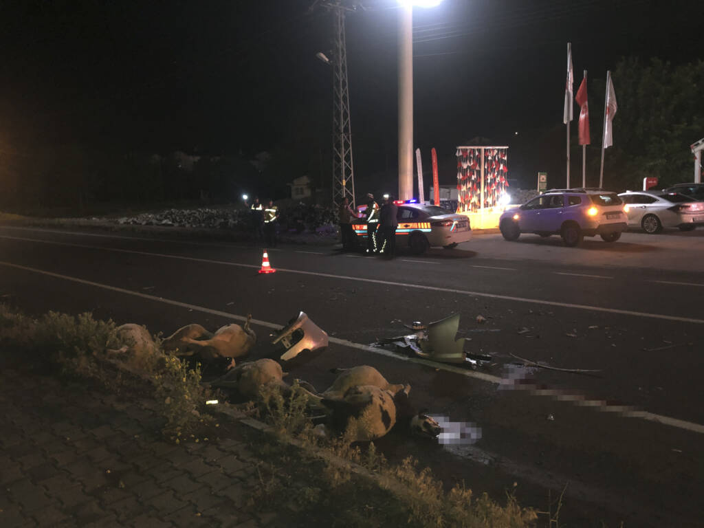 Kars’ta feci kaza: Koyunlar telef oldu, sahibi öldü!