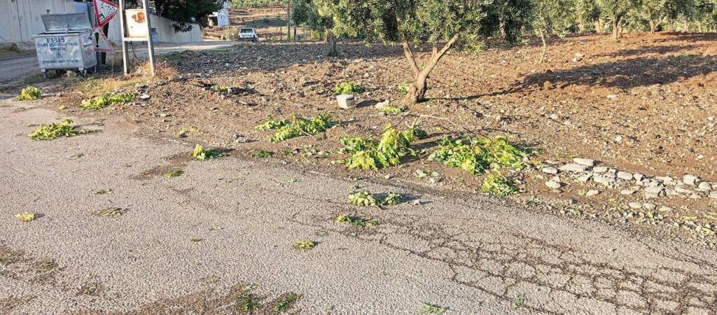 Kilis'in Musabeyli ilçesinde etkili