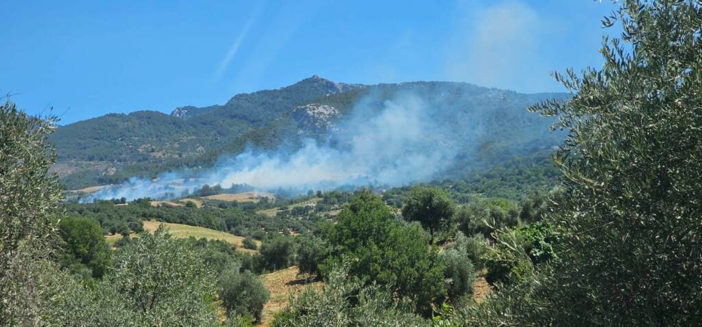 Kozan’da orman yangını: Müdahale ediliyor!
