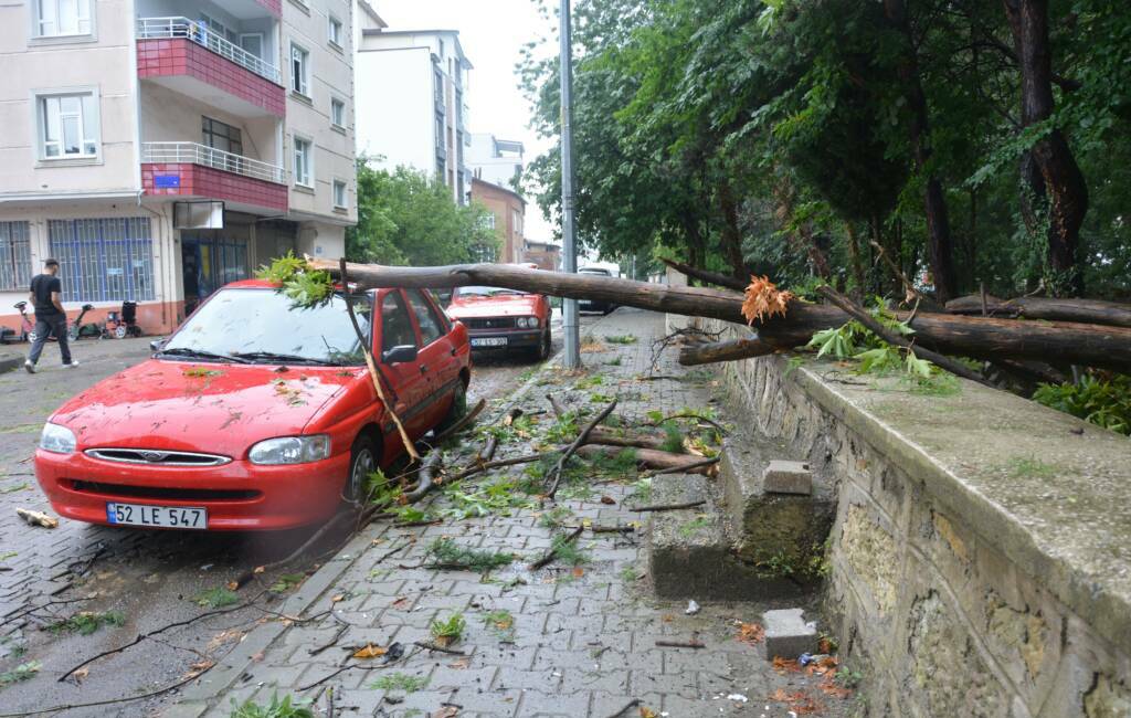  Ordu'nun Ünye ilçesinde sabah