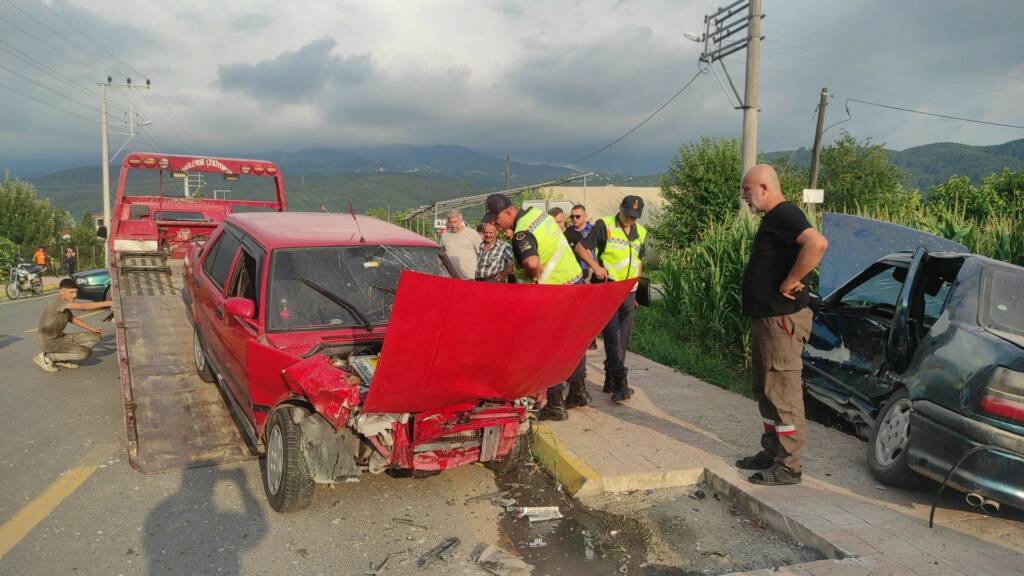 Sakarya'nın Akyazı ilçesinde iki