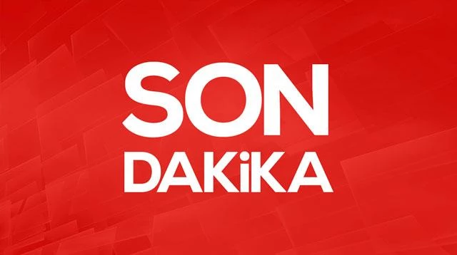 Yunanistan’da orman yangını: Müdahale sürüyor