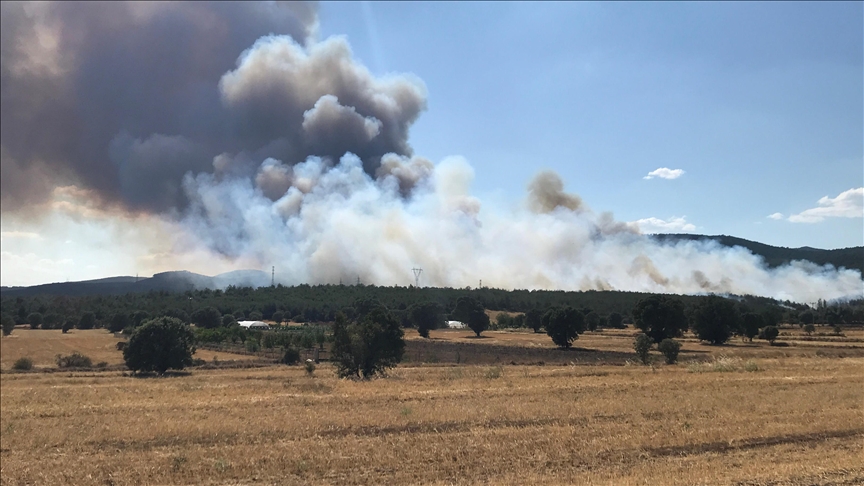 Uşak’ta Orman Yangını