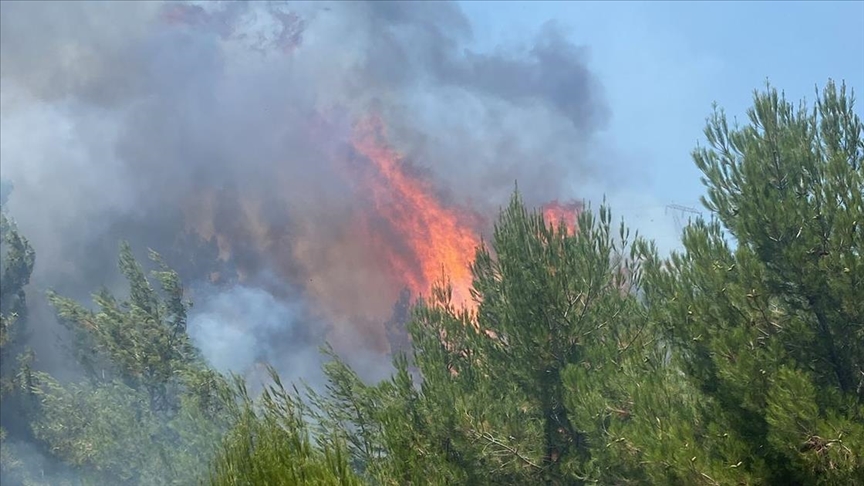 Balıkesir'in Altıeylül ilçesinde tarım