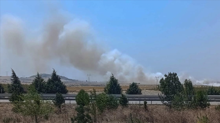 Balıkesir'in Altıeylül ilçesinde, arazide