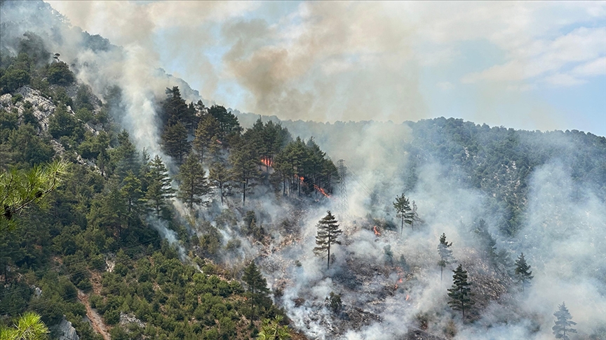 Adana'nın Feke ilçesinde ormanlık