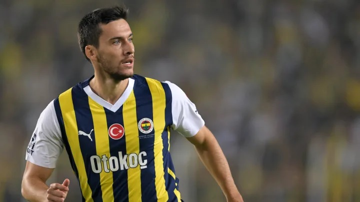 Fenerbahçe Kulübü, milli futbolcu