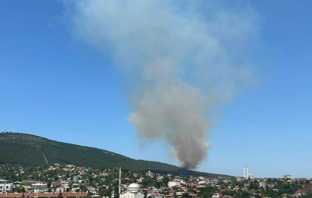 Pendik Aydos Ormanı’ndan yangın