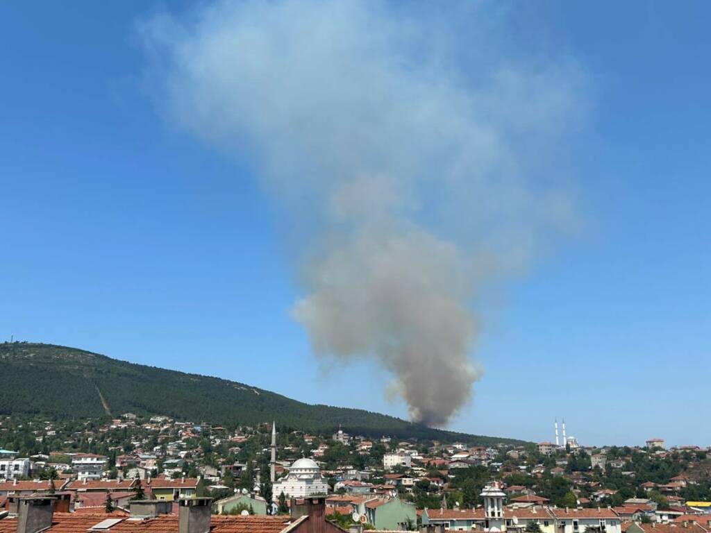 Aydos Ormanı alevlere teslim oldu