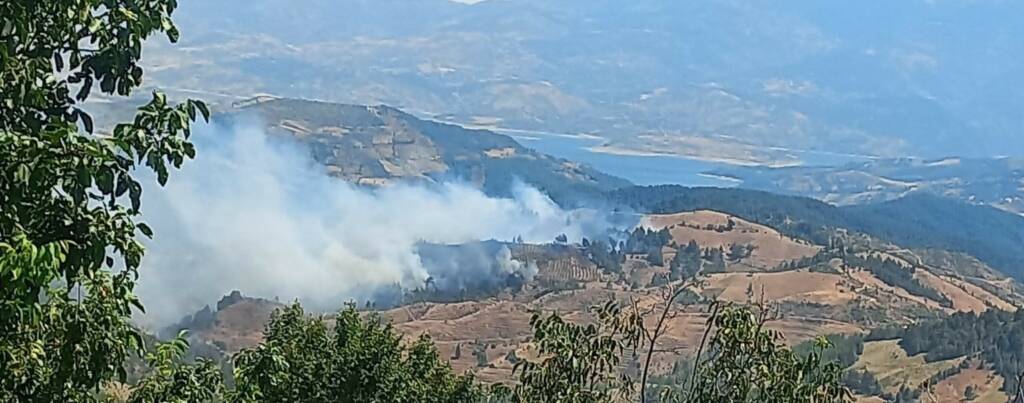 Kahramanmaraş’ta orman yangını: Müdahale ediliyor!