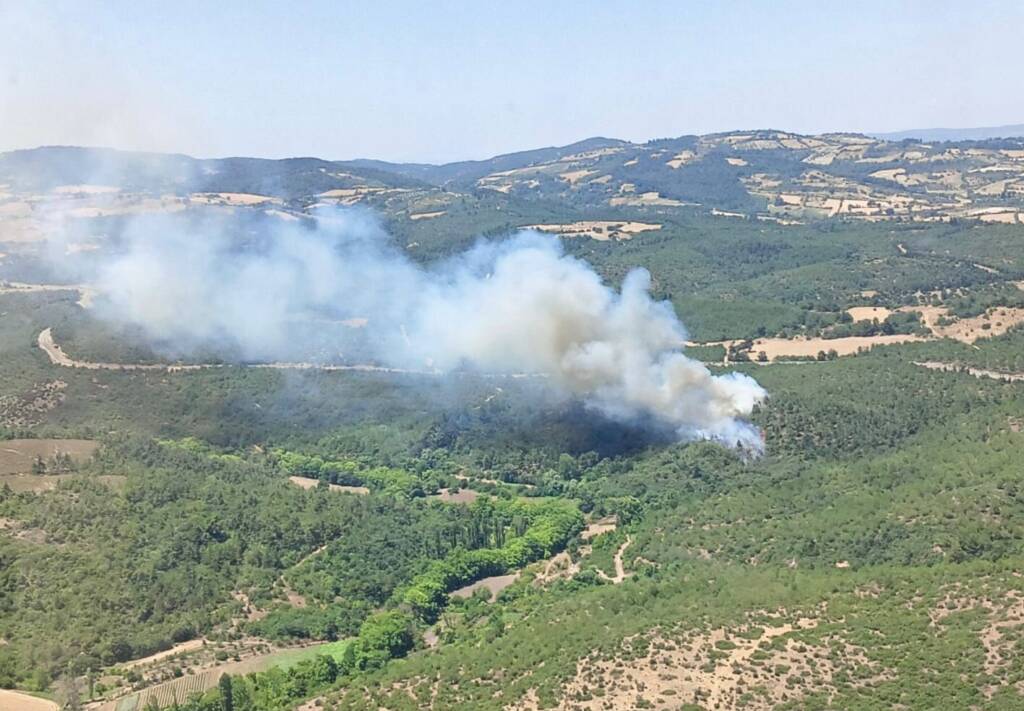 Balıkesir’de orman yangını: Müdahale ediliyor!