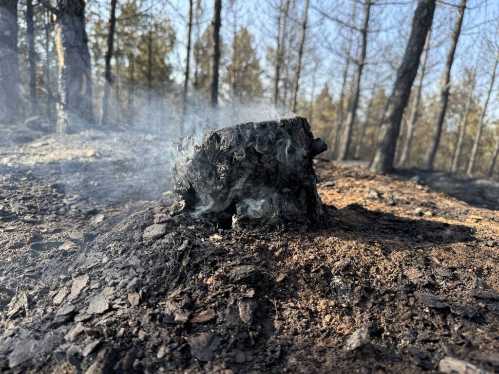 Kastamonu’daki orman yangını kontrol altında