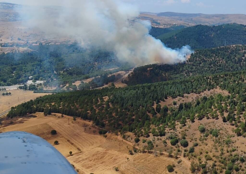 Balıkesir’de orman yangını